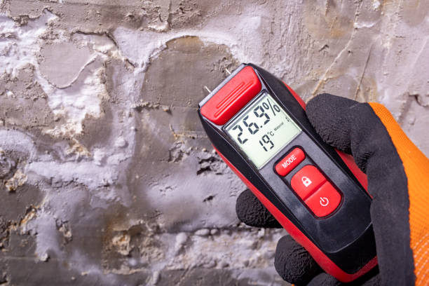 Best Health and Safety Mold Remediation in Danbury, CT