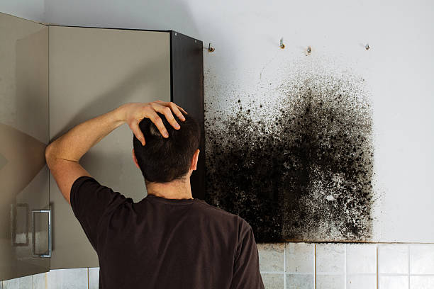 Best Bathroom Mold Remediation in Danbury, CT